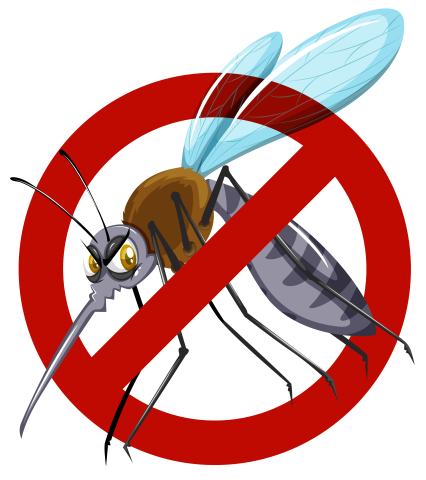 Lotta alle zanzare: da aprile a Dalmine distribuzione gratuita del larvicida